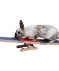 Rabbit practicing on Dog Agility Rocker Wooden Obstacle For Indoor And Outdoor Training, Rugged Solid Wood Challenge, 60 x 18 x 12 cm