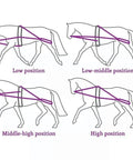 Groundwork And Lunging Gear For Horse Training Black, Built With Stainless Steel Snaps, Rock Solid, Durable And Adjustable positions diagram
