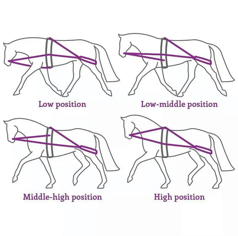 Groundwork And Lunging Gear For Horse Training Black, Built With Stainless Steel Snaps, Rock Solid, Durable And Adjustable positions diagram