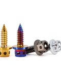 PVD Blue Burnished 304 Stainless Steel External Hex Flange Self Tapping Screws Set M4 And M5 in four colors, front view.