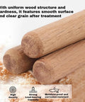 Five Size Hardwood Wood Dowels Set M5 M6 M8 M10 M12 Beveled Ends Fluted Pins For Woodworking Crafts And Furniture DIY Projects