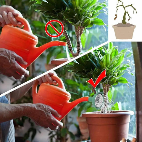Universal Garden Watering Can Rose Head Sprayer With Gentle Shower Pattern For Delicate Plants And Even Soil Coverage