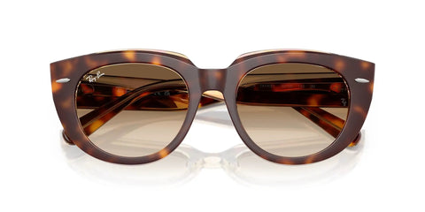 Doreen Square Sunglasses In Light Havana On Transparent Frame With Clear Gradient Brown Lenses 49 Millimeter Size Medium Fit UV Protection