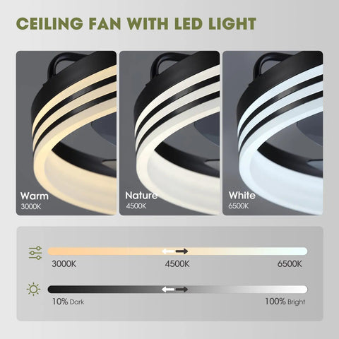 Ceiling Fan With Light 20 Inch Black Flush Mount Low Profile With 6 Speeds Dimmable LED Light Timing Reversible Wind