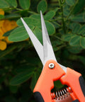 Ultra Sharp Pruning Shears For Gardening With Spring Loaded Mechanism Stainless Steel Precision Blades Six Point Five Inch