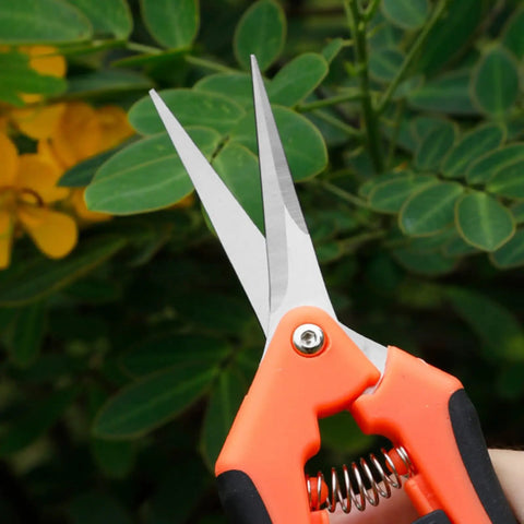 Ultra Sharp Pruning Shears For Gardening With Spring Loaded Mechanism Stainless Steel Precision Blades Six Point Five Inch