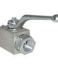 Ball valve, MHA-Zentgraf stainless steel 316, 3/4-inch NPT female, lever handle, 2-port shut-off