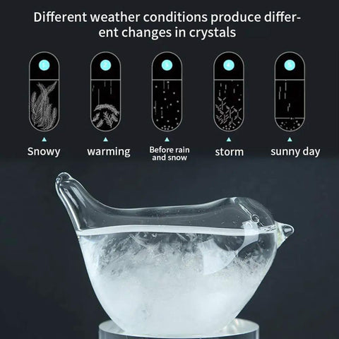 Storm Glass Weather Forecaster Water Drop Predictor Drop Shaped Glass Barometer with crystal formations, black background.