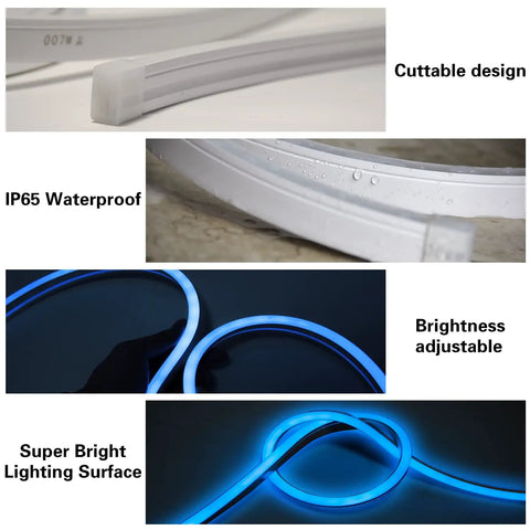 Led Neon Rope Lights With Music Sync, 9.84ft 24V Smart Dimmable Outdoor IP65 Waterproof LED Strip, cuttable and bright design