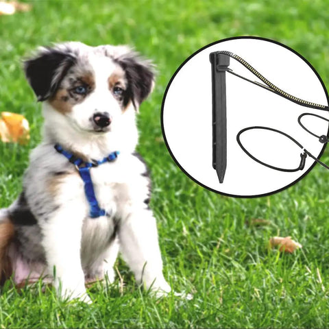 30 Piece 10 Inch Black Landscape Edging Stakes Heavy Duty Plastic Ground Spikes beside a puppy on grass