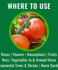 Image of tomatoes and text listing uses for Neem Oil Spray For Gardening Ready To Use Pest And Disease Control For Houseplants And Home Gardens 1 Gal Bottle Insect Killer And Fungicide Kills Aphids Whiteflies Spider Mites Japanese Beetles Fruit Flies Scales