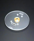 Knockout Router Base Plate Dead Nuts Fits Bosch Colt 18V Power Tool With 6 Inch Round Clear Acrylic top view showing pre drilled holes.