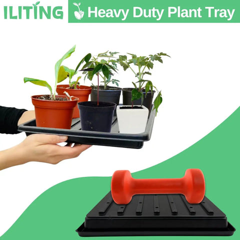 Hands holding black tray with potted plants; red weight on 10.7-inch square tray; Seedling Starter Trays 5 Pack For Microgreens And Veggies Shallow 1010 Nursery Trays With Drain Holes 10.7 Inch Square Black Plant Trays For Indoor Home Grow And Greenhouse Great For Seed Starting.