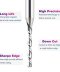 SpeTool extra-long spiral carbide router bit, down-cut, 1/8 in cutting diameter, 1/4 in shank, 3 in overall length