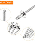 Heavy Duty 304 Stainless Steel Large Flange Round Head Blind Rivets 1/4X1/2 Inches 50 Pcs Pack showing detailed flange and shank.