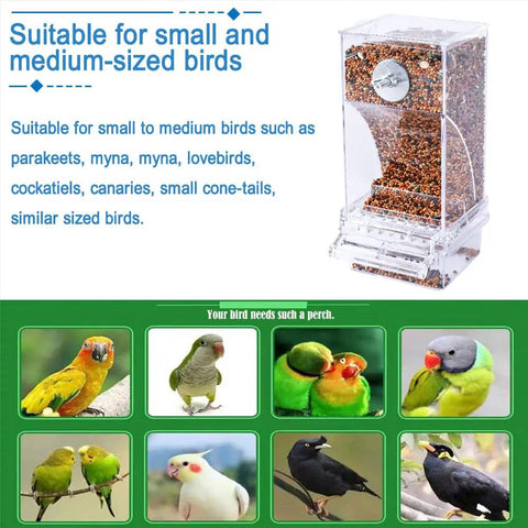 No Mess Premium Clear Acrylic Bird Cage Feeder Two Pack featuring sturdy perch and spill proof seed hopper for small birds.
