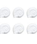 Six Pack Resin Beach Conch Cabinet Knobs In Antique White Finish, 3D Shell Pull Handles For Cabinets Drawers And Doors