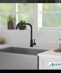 Black Cold Only Water Kitchen Faucet With Single Lever Slick Commercial Bar Tap 304 Stainless Steel Deck Mounted Single Hole Modern Style Water Saving 1.79 GPM in modern kitchen with plants.