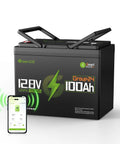 12V 100Ah LiFePO4 Battery Group 24 With Bluetooth Real Time Monitoring And 100A BMS 1280Wh Energy for Solar RV Trolling