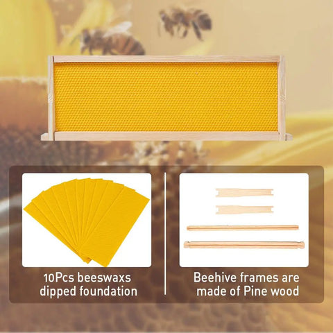 10 Frame Langstroth Beehive Super Box With Frames and Waxed Foundations Cedar Wood Kit showing beeswax foundation and pine wood frame