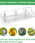 Clear glass window mounted bird bath with three extra twin suction cups for outside viewing, designed for cats, kids, and elderly.