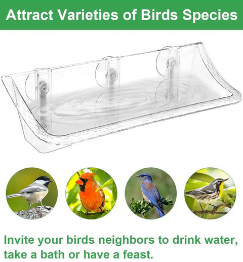Clear glass window mounted bird bath with three extra twin suction cups for outside viewing, designed for cats, kids, and elderly.
