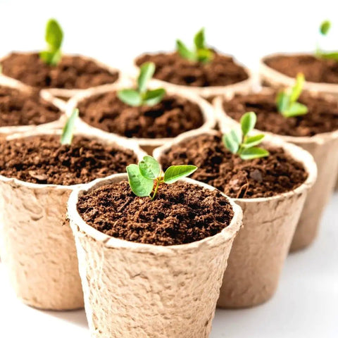 100 Pack 4 Inch Organic Peat Pots For Seed Starting Biodegradable Plantable Nursery Pots With Drainage Holes For Small Seedlings