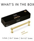 3-Inch Hole Center Unlacquered Brass Cabinet Pulls 5-Pack with screws in packaging for kitchen and home hardware