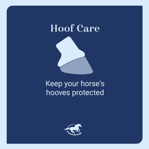 Pair Of Horse Bell Boots Rugged Rubber Overreach Protection For Horses Large Size Black Protective Equine Boot Set Built To Last Comfort And Quick Easy Fit logo