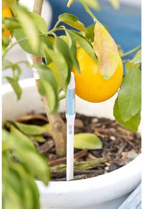 Sustee Aquameter 4 Pack Leave In Plant Soil Moisture Sensor For Pots White Medium Size Lets You Track Water Needs In The Soil For 3.5 To 6 Inch Pots Without Guessing. White soil moisture sensor stick in a potted citrus plant, medium size