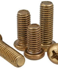 Top Tier Brass Self Tapping Screws With Classic Phillips Round Head Design showing M3 25mm screws in a group with rust resistant finish.