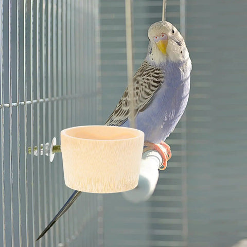 Premium Top Shelf Bird Cage Retaining Screws And Perch Hardware Kit With 16 Heavy Duty Bolts And Nuts Plus Gaskets For Small Pet Enclosure Fastening No Sweat Install Replacement Parts with parakeet and wooden bowl.