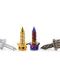 PVD Blue Burnished 304 Stainless Steel External Hex Flange Self Tapping Screws Set M4 And M5 in various colors, 10 pieces