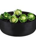 15 Gallon Heavy Duty Felt Fabric Grow Bag Planter For Backyard Indoor Outdoor Gardens with cabbage plants