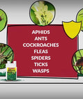 Concentrated Indoor Outdoor Insect Control For Fleas Roaches And Ants 32 Oz Tank Mix bottle with pest illustrations