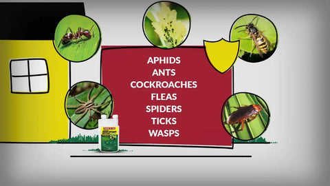 Concentrated Indoor Outdoor Insect Control For Fleas Roaches And Ants 32 Oz Tank Mix bottle with pest illustrations