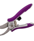 ColorPoint Stainless Steel Compact Pruning Shears With Quarter Inch Cutting Capacity, Heavy Duty Blade, Easy Grip Handle