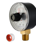Front view of SeaEagles pressure gauge with 2-inch dial and brass 1/4-inch NPT back mount for pool/spa valve.