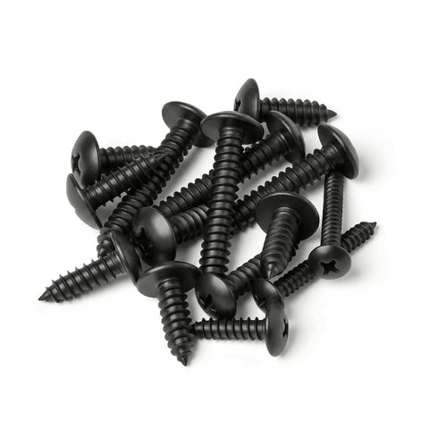 Heavy Duty Truss Head Screws In A 20 Pack Size 12 By 2 Inches Of Premium 304 Stainless Steel With A Tough Black Oxide Coating.