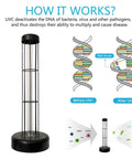 UV Power Light 55 Watt Germ Zapper For Living Room And Bedroom Busts Dust Mites Mold Bacteria And Viruses Zaps Allergies Away Powerful Home Sanitizer For Clean Air And Safer Nights, diagram illustrating DNA break process by UVC.