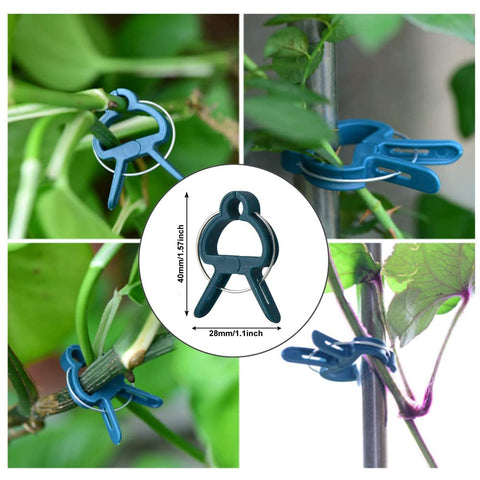 Various uses of plant clips from All In One Garden Trellis Kit With Plant Clips And Stake Connectors Includes Six A Type Joints.