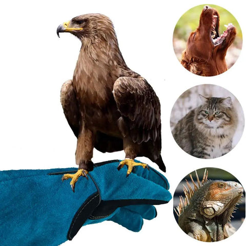 Bite Proof 23.7 Inch Kevlar Reinforced Animal Handling Gloves with bird perched and images of dog, cat, iguana in circles.