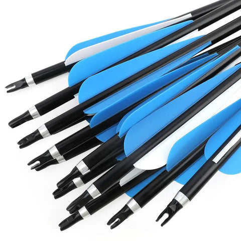 12 Pack 30 Inch Archery Aluminum Arrows With Spine 300 For Target Practice And Hunting Field Points, blue fletching and nocks