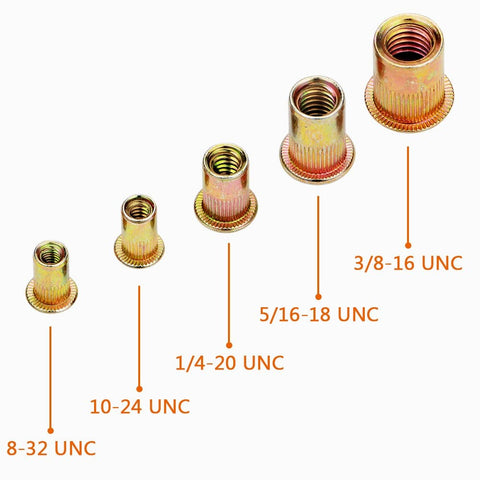 Rivet Nut Kit 50 Pieces 5/16-18 UNC Carbon Steel Flat Head Rivet Nuts With Knurled Body Zinc Plated in size comparison view.
