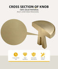 Cross-section of 5 Pack Champagne Bronze Cabinet Knobs Round Zinc Alloy Mushroom Style One And A Quarter Inch Dresser Drawer Knobs