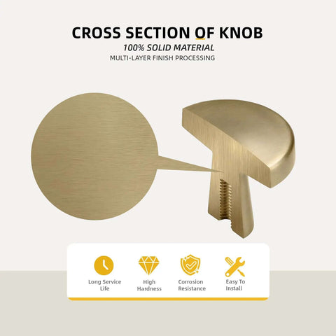 Cross-section of 5 Pack Champagne Bronze Cabinet Knobs Round Zinc Alloy Mushroom Style One And A Quarter Inch Dresser Drawer Knobs