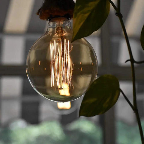 G25 Globe Edison Light Bulb 60W Vintage Round Amber Glass Dimmable Retro Incandescent With E26 Base, glowing filament