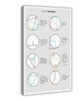 Circle Theorem Geometry Canvas Poster With Cheat Sheet For Dorm Room Desk Setup Office Or Home Decor 24 By 36 Inch Wall Art College Math Study Aid Gift Ready Frame. Framed poster with circle diagrams and math notes.