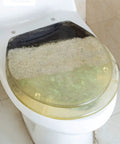 Beautiful Dolphin Toilet Seat With Soft Close Lid And Quick Release Hinges For Super Easy Daily Cleanup And A Total Bathroom Upgrade That Honestly Hits Different on toilet.