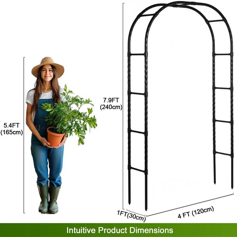 Rustproof Metal Garden Arch Trellis With PE Coating, Easy Assembly, 7.9 Ft High By 4 Ft Wide, shown with dimensions and person for scale.
